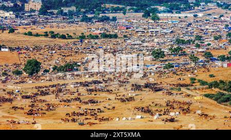 Pushkar Fair, vue de dessus. La foire de Pushkar est l'une des plus grandes foires de chameau, de chevaux et de bétail de l'Inde. Pushkar, Rajasthan, Inde, Asie. Banque D'Images