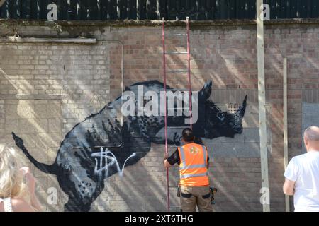 Le rhinocéros de Banksy à Charlton a été marqué quelques heures après son dévoilement et le lendemain, l'œuvre était protégée. Banque D'Images