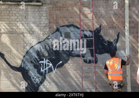 Le rhinocéros de Banksy à Charlton a été marqué quelques heures après son dévoilement et le lendemain, l'œuvre était protégée. Banque D'Images