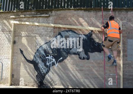 Le rhinocéros de Banksy à Charlton a été marqué quelques heures après son dévoilement et le lendemain, l'œuvre était protégée. Banque D'Images