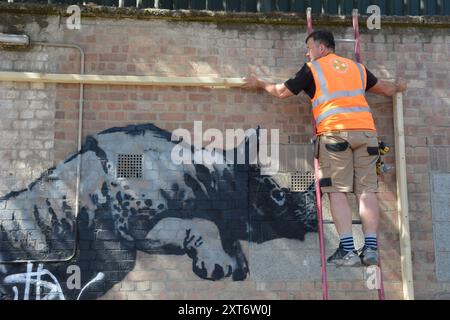 Le rhinocéros de Banksy à Charlton a été marqué quelques heures après son dévoilement et le lendemain, l'œuvre était protégée. Banque D'Images