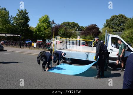 Ce n'est que quelques heures après que Banksy a confirmé que le graffiti de gorilles était son travail que le travail a été mis derrière flexiglass/perpsex au zoo de Londres. Banque D'Images