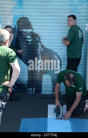 Ce n'est que quelques heures après que Banksy a confirmé que le graffiti de gorilles était son travail que le travail a été mis derrière flexiglass/perpsex au zoo de Londres. Banque D'Images