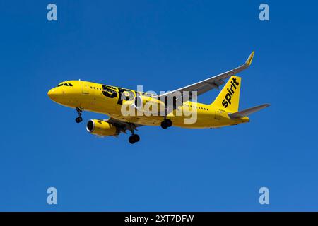 Harry Reid Airport, 8-10-24 Las Vegas, NV États-Unis Spirit Airlines Airbus A320 N648NK en finale pour 26L à l'aéroport international Harry Reid Banque D'Images