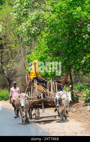 Chariot à bœufs chargé sur le chemin du marché photographié au Madhya Pradesh, Inde en mai Banque D'Images