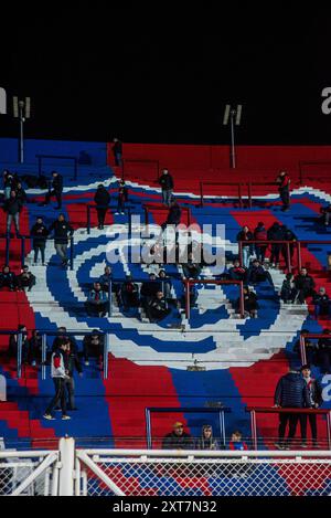 Buenos Aires, Argentine. 13 août 2024. Le joueur lors du match entre San Lorenzo et Atletico Mineiro, valable pour la Copa Libertadores da América 2024, a joué au stade Pedro Bidegain (Estadio San Lorenzo de Almagro), dans la ville de Buenos Aires, Argentine, ce mardi 13 août 2024. Crédit : Gabriel Sotelo/FotoArena/Alamy Live News Banque D'Images