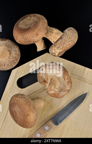 Champignons shiitake frais, planche à découper en bois avec couteau dessus et serviette sombre disposée sur fond noir Banque D'Images