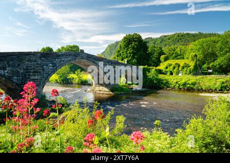 Llanrwst Bridge & Tearoom - Snowdonia, pays de Galles, Royaume-Uni Banque D'Images