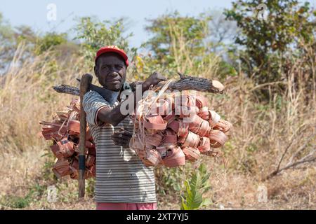 Villageois transportant une charge de bandes d'écorce d'arbre soigneusement groupées qui sont utilisées pour fabriquer de la corde et de la fibre ; près de Chifunda, Musalungu Game Management Area, bord Banque D'Images