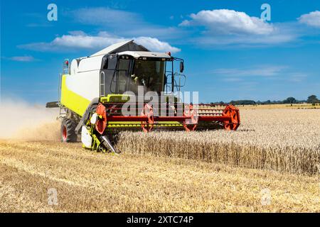 Une petite moissonneuse-batteuse dans le champ de céréales pendant la récolte - 1976 Banque D'Images
