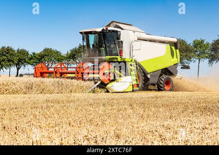 Une petite moissonneuse-batteuse dans le champ de céréales pendant la récolte - 2000 Banque D'Images
