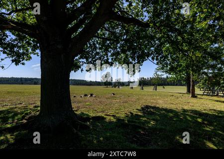 République tchèque, Lany, 13 août 2024. Lany, République tchèque. 13 août 2024. Le vaste Chateau Park (Game Park) du château baroque dans le village de Lany, résidence officielle d'été des présidents de la République tchèque à Lany, le 13 août 2024. Game Park est situé au milieu des bois de Krivoklat, non loin de Prague. Le président tchèque Petr Pavel a ouvert une partie du Lany Game Park pour la première fois au public. La zone sera ouverte tous les jours, y compris les jours fériés. Crédit : Ondrej Hajek/CTK photo/Alamy Live News Banque D'Images