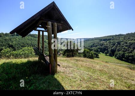 République tchèque, Lany, 13 août 2024. Lany, République tchèque. 13 août 2024. Le vaste Chateau Park (Game Park) du château baroque dans le village de Lany, résidence officielle d'été des présidents de la République tchèque à Lany, le 13 août 2024. Game Park est situé au milieu des bois de Krivoklat, non loin de Prague. Le président tchèque Petr Pavel a ouvert une partie du Lany Game Park pour la première fois au public. La zone sera ouverte tous les jours, y compris les jours fériés. Crédit : Ondrej Hajek/CTK photo/Alamy Live News Banque D'Images