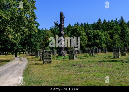 République tchèque, Lany, 13 août 2024. Lany, République tchèque. 13 août 2024. Le vaste Chateau Park (Game Park) du château baroque dans le village de Lany, résidence officielle d'été des présidents de la République tchèque à Lany, le 13 août 2024. Game Park est situé au milieu des bois de Krivoklat, non loin de Prague. Le président tchèque Petr Pavel a ouvert une partie du Lany Game Park pour la première fois au public. La zone sera ouverte tous les jours, y compris les jours fériés. Crédit : Ondrej Hajek/CTK photo/Alamy Live News Banque D'Images