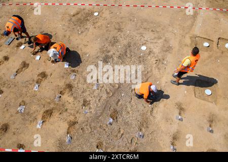 14 août 2024, Saxe-Anhalt, Belkau : des archéologues de l'Office d'État de Saxe-Anhalt pour la préservation des monuments et l'archéologie prélèvent des échantillons de sol sur un site de fouilles. Là, les archéologues ont trouvé des traces d'une colonie dont les maisons auraient été là vers 5000 av. J.-C.. Les seaux blancs encastrés dans le sol montrent les endroits où se dressaient les poutres de ces maisons. Les échantillons de sol doivent maintenant être examinés. Les archéologues veulent les utiliser pour savoir si les colons de l'époque y gardaient du bétail. Les fouilles ont eu lieu à la veille du constructio Banque D'Images