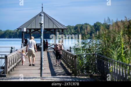 Neuruppin, Allemagne. 12 août 2024. Les gens marchent sur une passerelle sur la promenade au bord du lac Ruppin. Crédit : Monika Skolimowska/dpa/Alamy Live News Banque D'Images