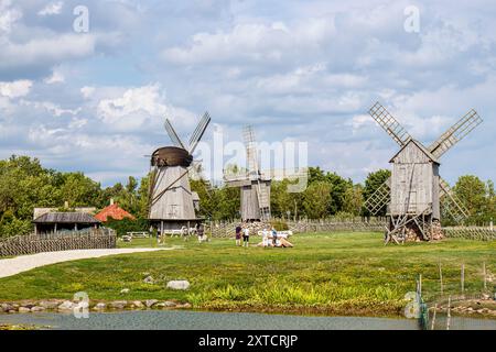 Angla, Comté de Saare, Estonie-09AUG2024-Moulins et Centre du patrimoine d'Angla à Saaremaa, Estonie. Vieux moulins à vent de farine de bois en été. Banque D'Images