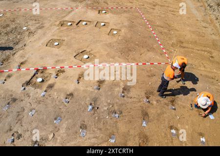 14 août 2024, Saxe-Anhalt, Belkau : des archéologues de l'Office d'État de Saxe-Anhalt pour la préservation des monuments et l'archéologie prélèvent des échantillons de sol sur un site de fouilles. Là, les archéologues ont trouvé des traces d'une colonie dont les maisons auraient été là vers 5000 av. J.-C.. Les seaux blancs encastrés dans le sol montrent les endroits où se dressaient les poutres de ces maisons. Les échantillons de sol doivent maintenant être examinés. Les archéologues veulent les utiliser pour savoir si les colons de l'époque y gardaient du bétail. Les fouilles ont eu lieu à la veille du constructio Banque D'Images