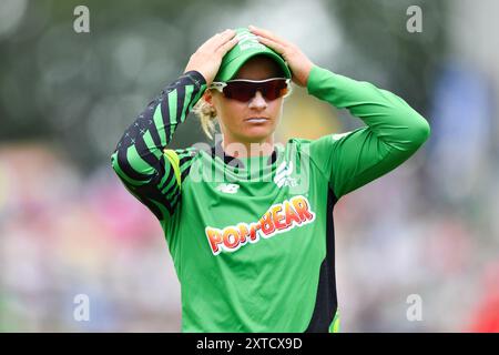 Southampton, Royaume-Uni. 14 août 2024. Danni Wyatt de Southern Brave lors du Hundred Men's match entre Southern Brave et Welsh Fire à Utilita Bowl. Crédit : Dave Vokes/Alamy Live News Banque D'Images