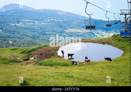 Télésiège ou funiculaire de Prada au-dessus d'un étang d'abreuvement de vaches dans les Alpes italiennes, à l'est du lac de Garde, Italie Banque D'Images