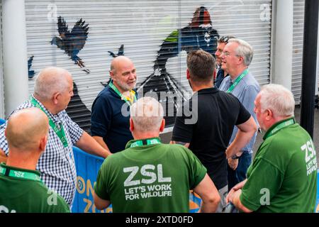 Londres, Royaume-Uni. 14 août 2024. Le personnel de ZSL essaie de décider quoi en faire - un autre Banksy est apparu au ZSL, zoo de Londres, dans Regent's Park. L'œuvre représentant un gorille, un phoque et des oiseaux marque son neuvième opus dans une série jusqu'à présent axée uniquement sur les animaux. Sa dernière campagne de graffiti a commencé la semaine dernière, lorsqu’une chèvre bouchée est apparue près de Kew Bridge, à Richmond, dans l’ouest de Londres. Au total, il y en avait neuf et celui-ci devrait être le dernier. Crédit : Guy Bell/Alamy Live News Banque D'Images