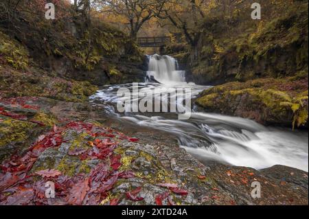 Chute d'eau de Sychryd, dans la vallée de Neath, au pays de Galles, en plein flux pendant l'automne. Banque D'Images