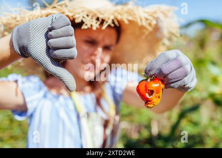 Échec de récolte. Jardinier tenant du poivre pourri endommagé par des limaces dans le jardin d'été. Une femme triste bouleversée montrant le pouce vers le bas Banque D'Images