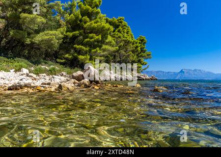 Plage rocheuse sauvage avec des palmiers sur la mer Adriatique sur la péninsule de Peljesac Luka Beach Croatie Banque D'Images