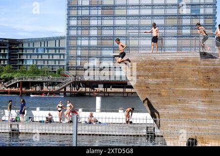 Copenhague/ Danemark/ 14 août 2024/Copenhague le lieu de baignade le plus célèbre est Islands brygge habour lieu de baignade à Copenhague . Photo. Francis Joseph Dean/Dean images non destinées à un usage commercial Banque D'Images