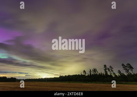 Aurora Borealis aurores boréales derrière le nuage au-dessus d'un champ agricole et d'une forêt la nuit d'août Banque D'Images