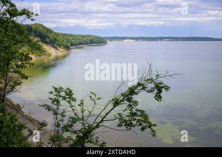 Côte sur l'île de Ruegen (Allemagne) près de Binz par une journée nuageuse en été, forêt Banque D'Images