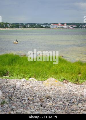 Côte sur l'île de Ruegen (Allemagne) près de Binz par une journée nuageuse en été, plage de gravier, herbe verte Banque D'Images