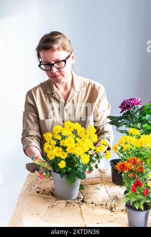 Femme de 50 ans transplantant des fleurs de chrysanthème d'automne dans des pots, décorant la terrasse ou le balcon de la maison avec des fleurs Banque D'Images