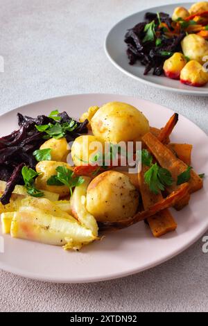 Savourez un repas vibrant et appétissant de légumes cuits au four tels que des pommes de terre, des courgettes, des carottes et des betteraves, idéal pour une pause saine, légère et délicieuse Banque D'Images