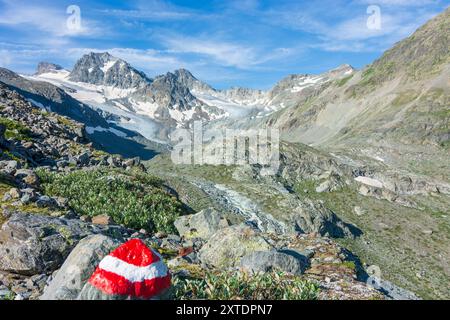 Silvretta Alpes : Jam Valley, ruisseau Jambach, glacier Jamtalferner, sommet Vordere Jamspitze à Paznaun - Ischgl, Tyrol, Autriche Banque D'Images