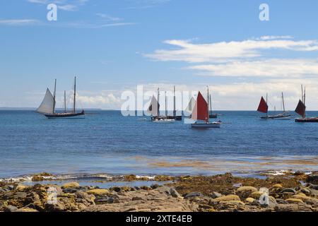 Luggers cornouaillais à Mousehole Sea, Salts and Sail 2024. Mousehole est un village et un port de pêche en Cornouailles, Angleterre, Royaume-Uni. Banque D'Images