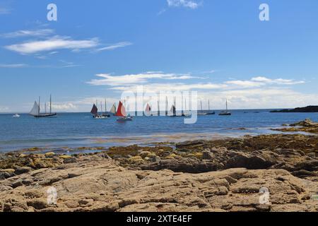 Luggers cornouaillais à Mousehole Sea, Salts and Sail 2024. Mousehole est un village et un port de pêche en Cornouailles, Angleterre, Royaume-Uni. Banque D'Images