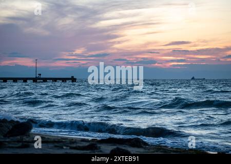 bébé mouette et les vagues de l'océan Banque D'Images