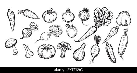 Ensemble de motifs légumes et fruits, Doodle concept végétarien doodle Organic Doodle food, cultiver des aliments Illustration de Vecteur