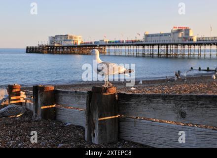 Worthing Pier de la plage lors d'une journée d'été ensoleillée, dans le Sussex de l'Ouest, Royaume-Uni Banque D'Images