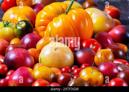 Tomates de différentes variétés et tailles sur un plateau en fer sur une table en bois. Banque D'Images