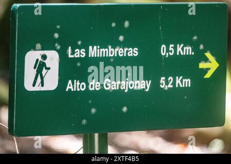 Panneau vert indiquant les distances vers Las Mimbreras et Alto de Garajonay, la Gomera, îles Canaries, avec un pictogramme de randonnée. signal de randonnée directionnelle Banque D'Images