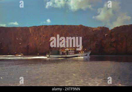 Bateau de pêche sur la mer à côté des falaises entourées de mouettes Banque D'Images