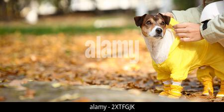 Drôle Jack Russel terrier en imperméable avec propriétaire dans le parc Banque D'Images