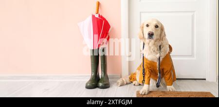 Chien drôle portant un imperméable dans le hall. Bannière pour la conception Banque D'Images