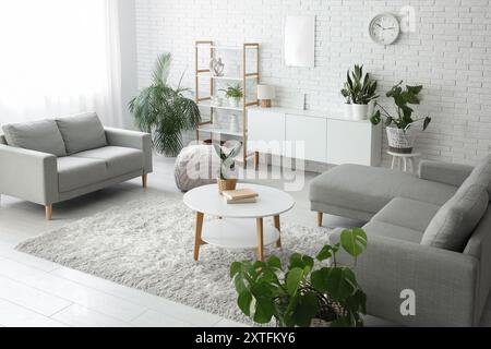 Différentes plantes d'intérieur près du mur de briques blanches à l'intérieur du salon Banque D'Images