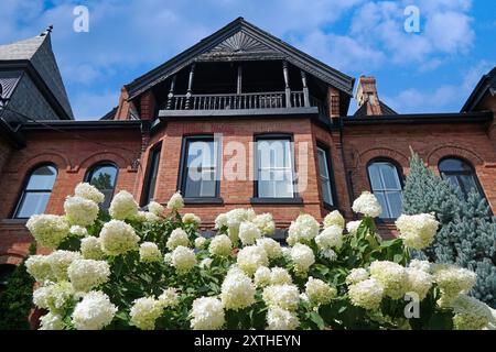 Vieilles maisons jumelées avec des pignons et des fleurs d'hortensia Banque D'Images