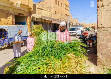 Rissani, Maroc - avril 02, 2023 : scène de marché, avec de la nourriture pour animaux, des vendeurs et des acheteurs, a Rissani, désert du Sahara, Maroc Banque D'Images