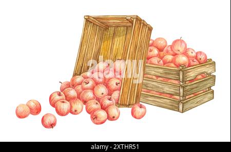 Composition isolée de caisses en bois pleines de pommes. Les fruits tombent d'une boîte renversée. Aquarelle jardin clipart de la collection APPLE HARVEST Banque D'Images