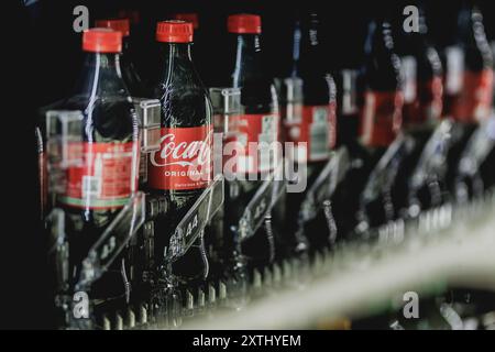 Berlin, Deutschland. 12 août 2024. Des bouteilles de Coca Cola sont dans un distributeur automatique à Berlin, le 12 août 2024. Crédit : dpa/Alamy Live News Banque D'Images